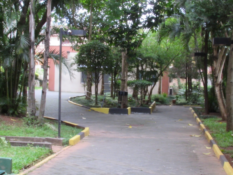 Apartamento à venda Parque Munhoz com 72m² e 3 quartos por R$ 450.000 - 1652337132-fotos de caminhadas 604.JPG